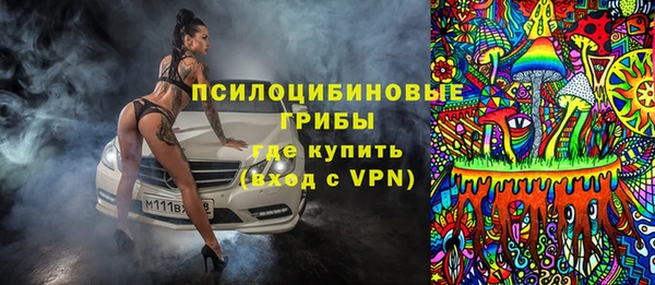 крисы Абаза