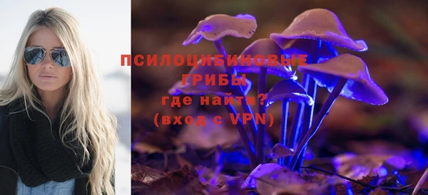 соль ск Абдулино