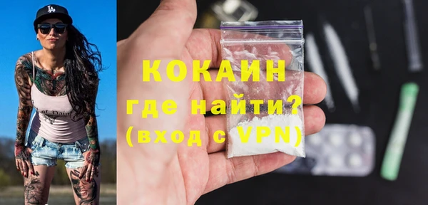 крисы Абаза