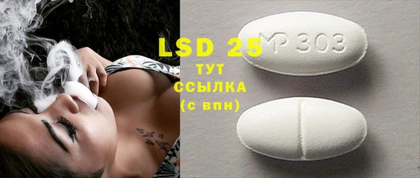крисы Абаза
