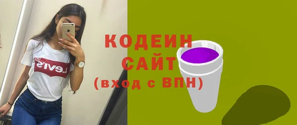 крисы Абаза