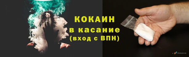 крисы Абаза