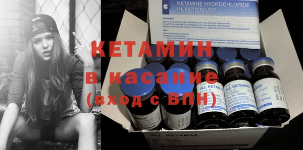 крисы Абаза