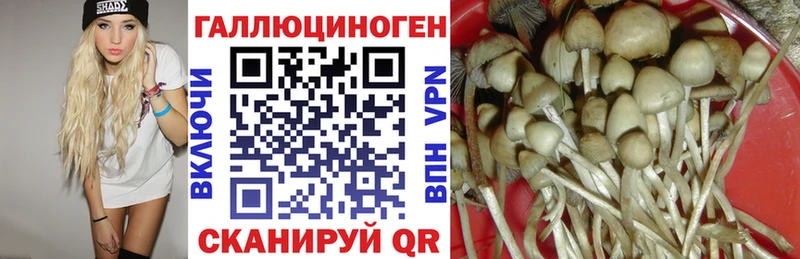 Псилоцибиновые грибы Cubensis  купить  цена  Алейск 