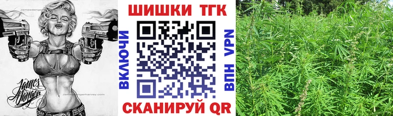 hydra ONION  наркотики  Алейск  Канабис сатива 